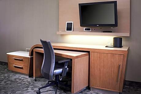 Room, 1 King Bed with Sofa bed (Mobility/Hearing Access, Roll-in Shwr)