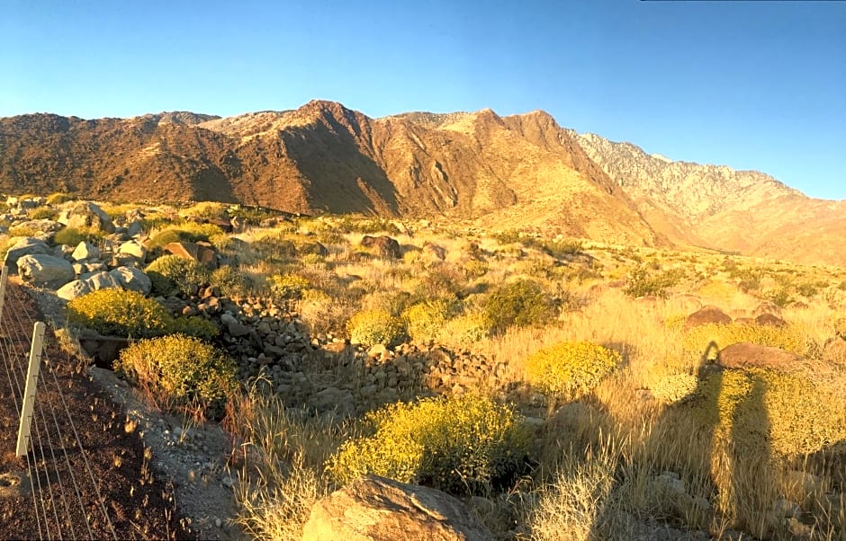 Inn at Palm Springs