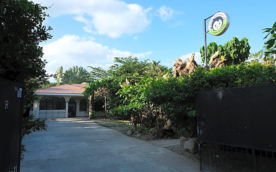 Mad Monkey Dumaguete