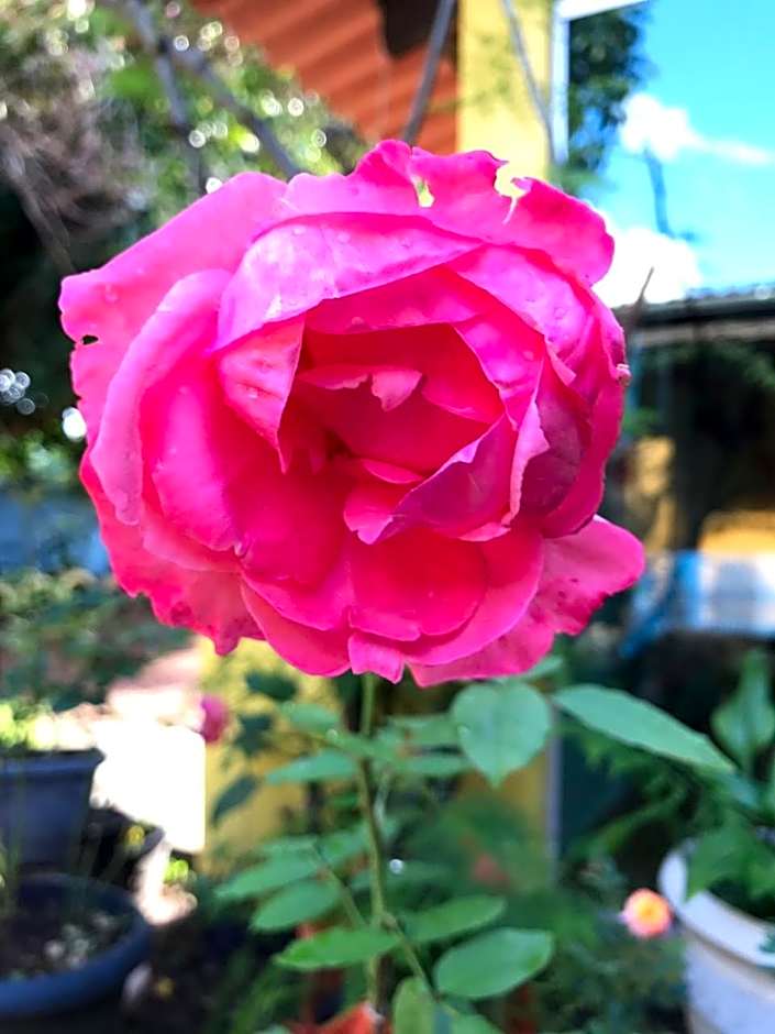 Pousada Casa do Cerrado - Alto Paraíso de Goiás