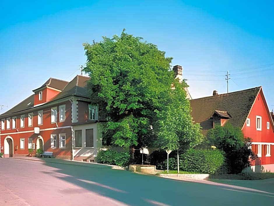 Hotel Gruner Baum
