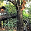 Pugdundee safaris - Tree House Hideaway