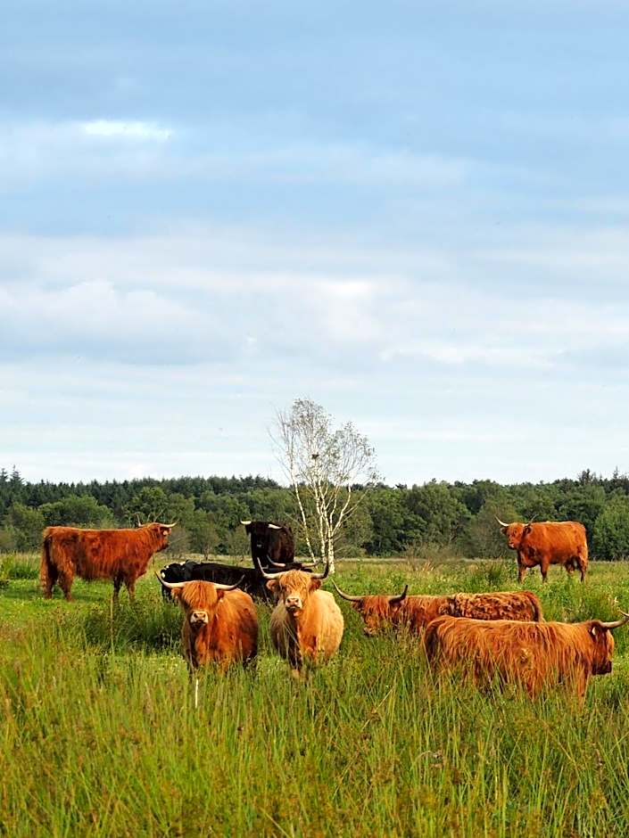RCN Vakantiepark de Roggeberg