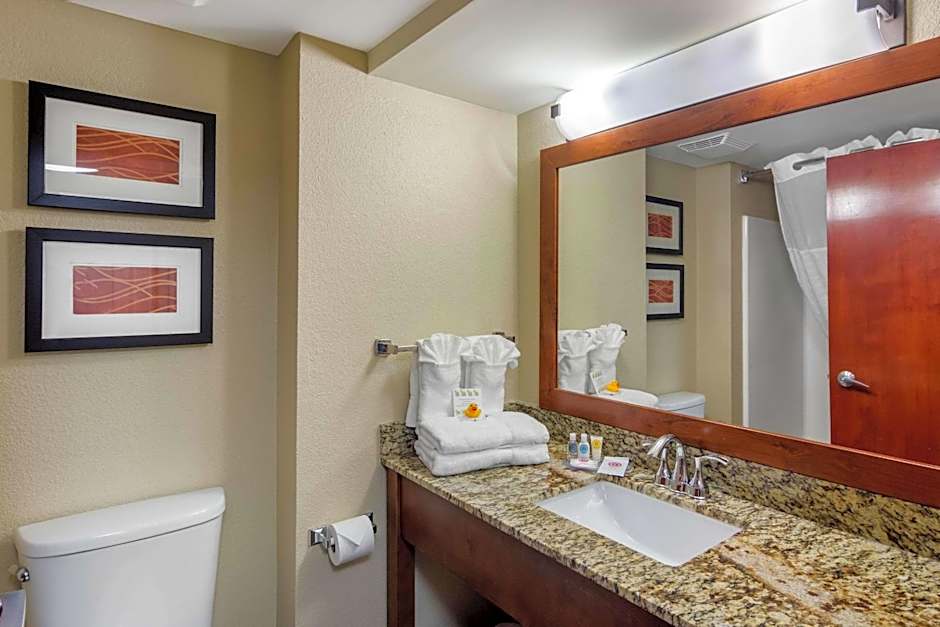 Comfort Inn & Suites LaGrange East