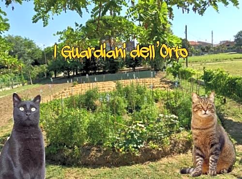 B&B I Guardiani dell'Orto