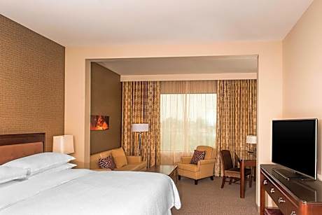 Executive Suite, 1 Bedroom (1 Double Bed)