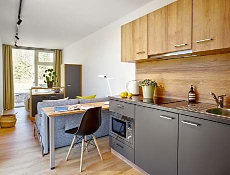 Apartment with Terrace