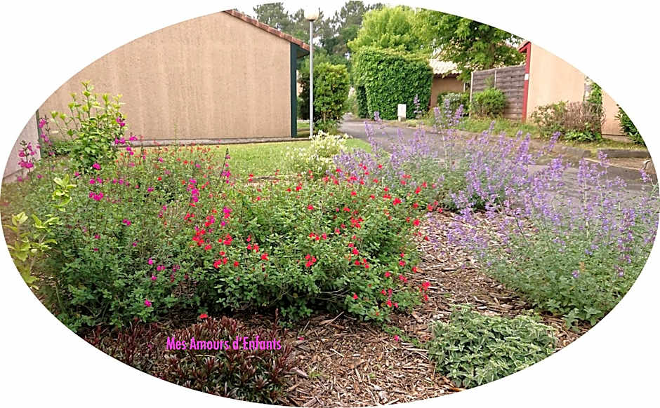 Résidence Mes Amours d'Enfants - Les Villas du Lac