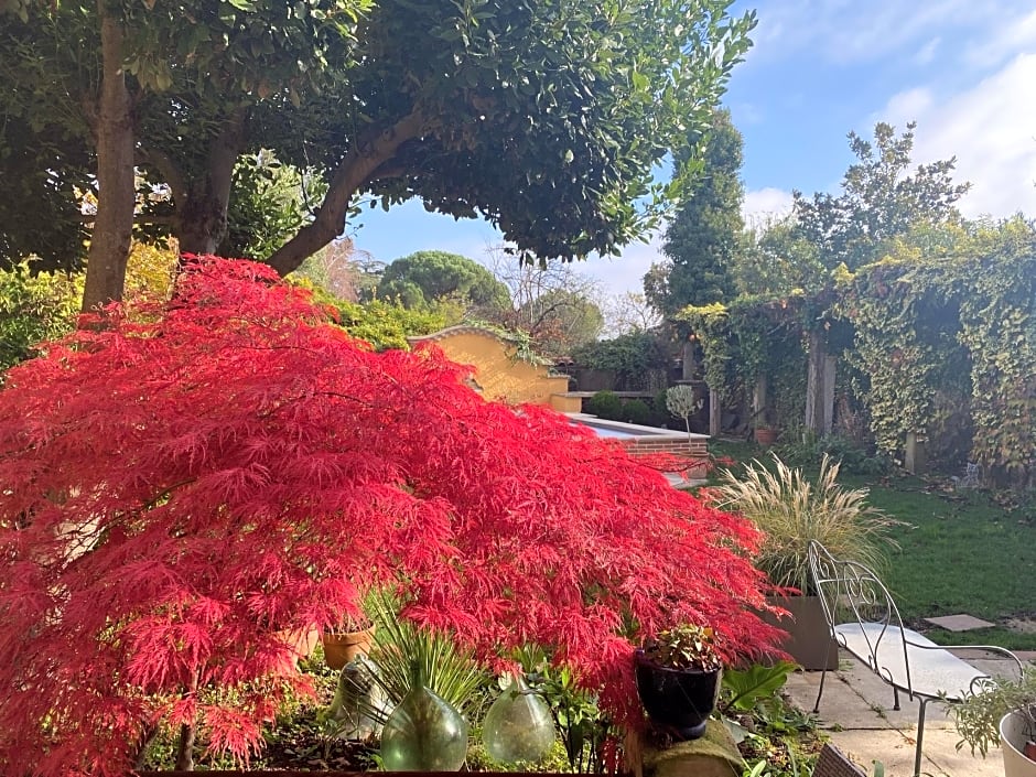 Le Rez de Jardin Albi