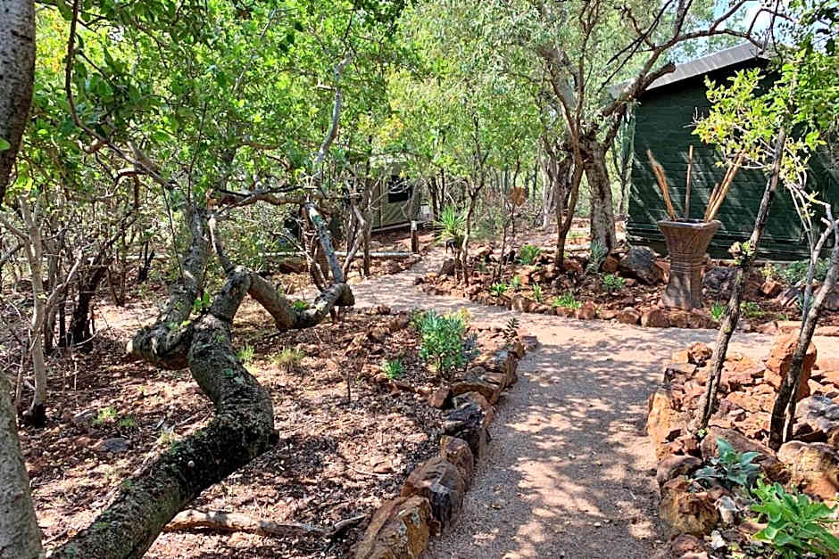 Shala Mushe Tented Camp & Camp