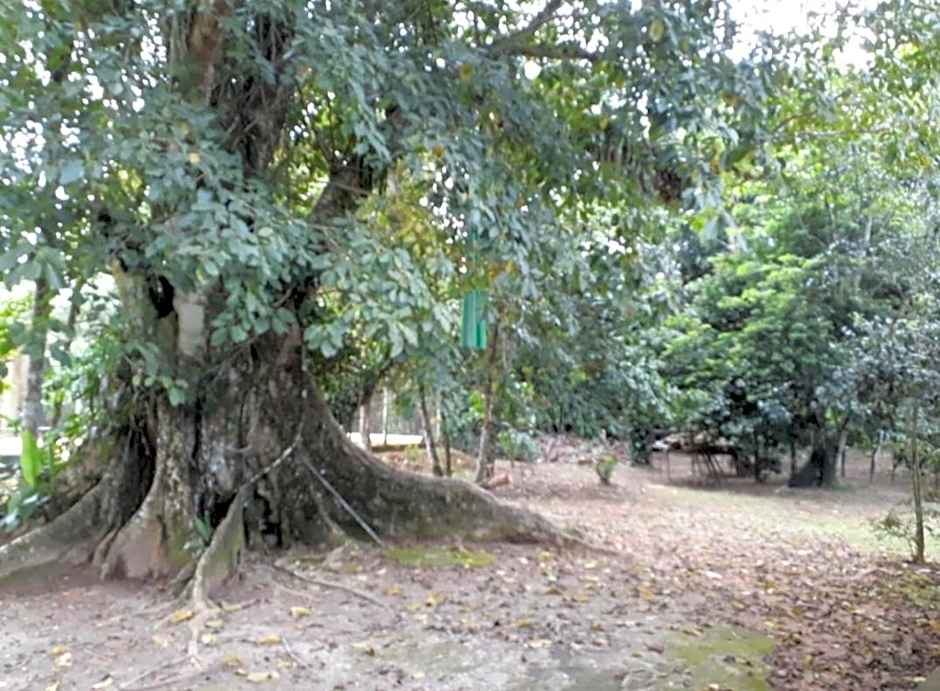 Alegria casa 3 dorms Cond Fechado churrasqueira piscina