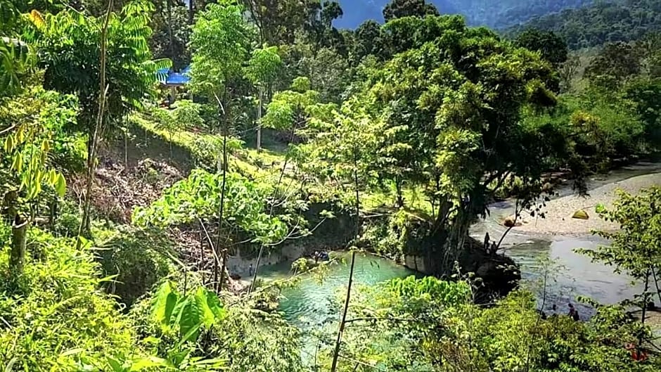 ETALAUSER Jungle Gate EcoResort Bukit Lawang