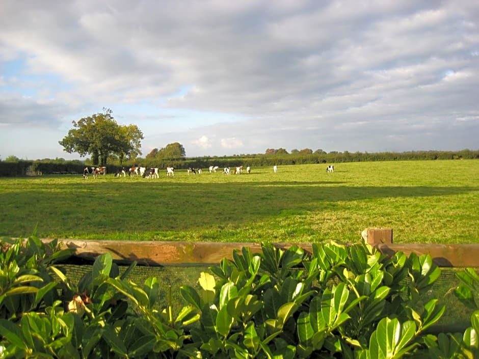 Drumspittal House Guest Accomodation