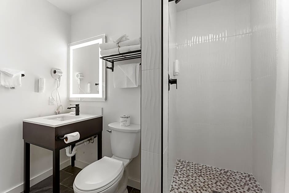 Econo Lodge Inn & Suites Heavenly Village Area