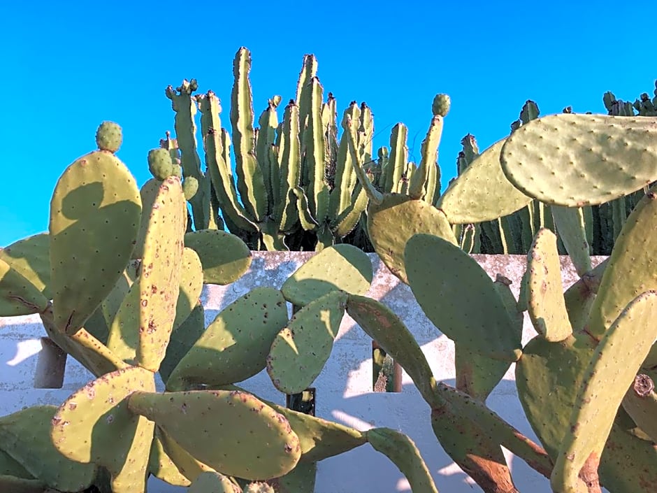 Boutique Hotel Masseria Sottomasi