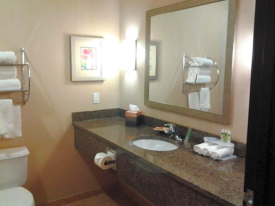 Holiday Inn Express Hotel Vernal By IHG