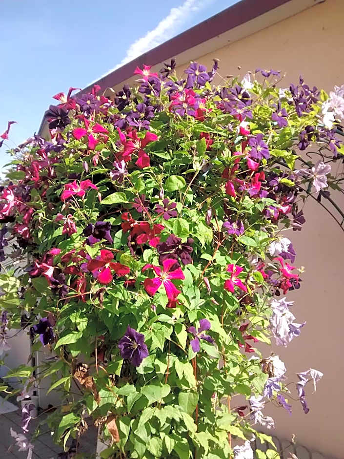 Gästehaus Brunnerhof - Eitting