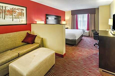 King Suite with Sofa Bed - Communications Accessible