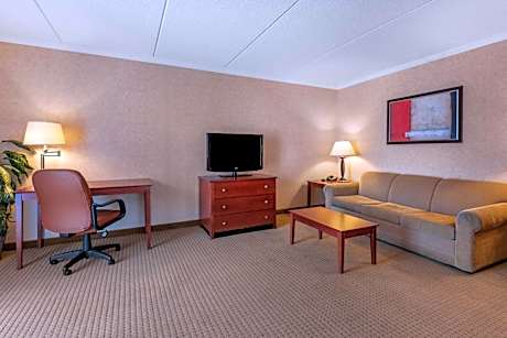 King Suite with Sofa Bed - Non Smoking