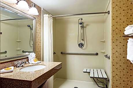 King Room - Disability Access