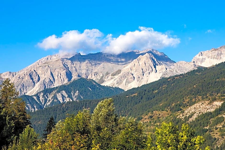 Etoile des Neiges