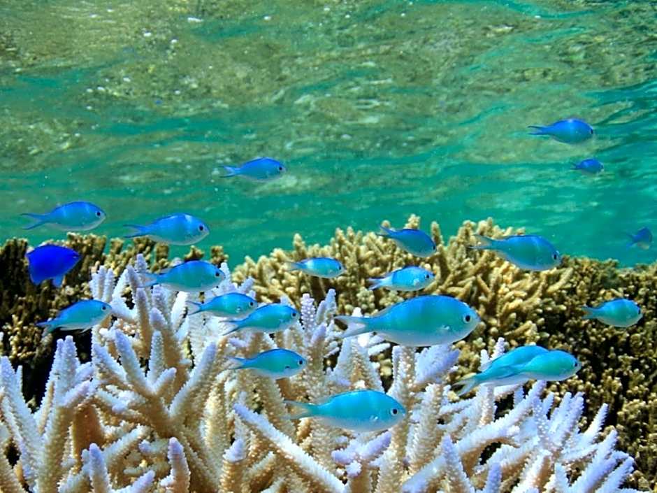 Hotel Breezebay Marina