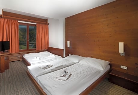 Double Room with Mountain View