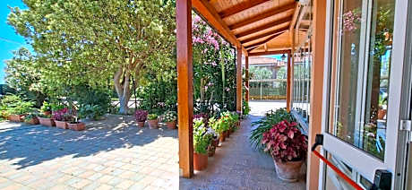 Double or Twin Room with Balcony