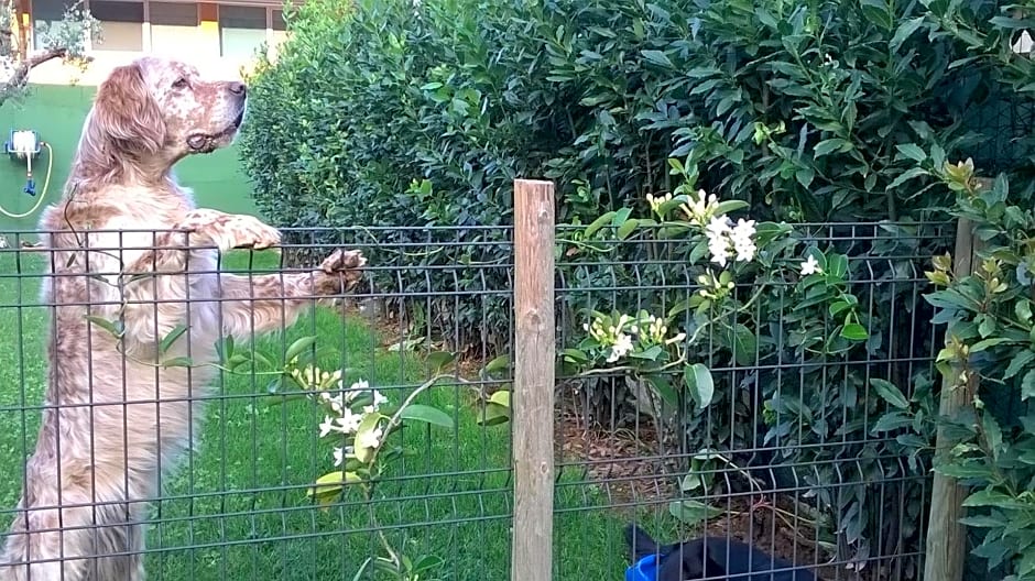 Bio B&B Vivere la Vita