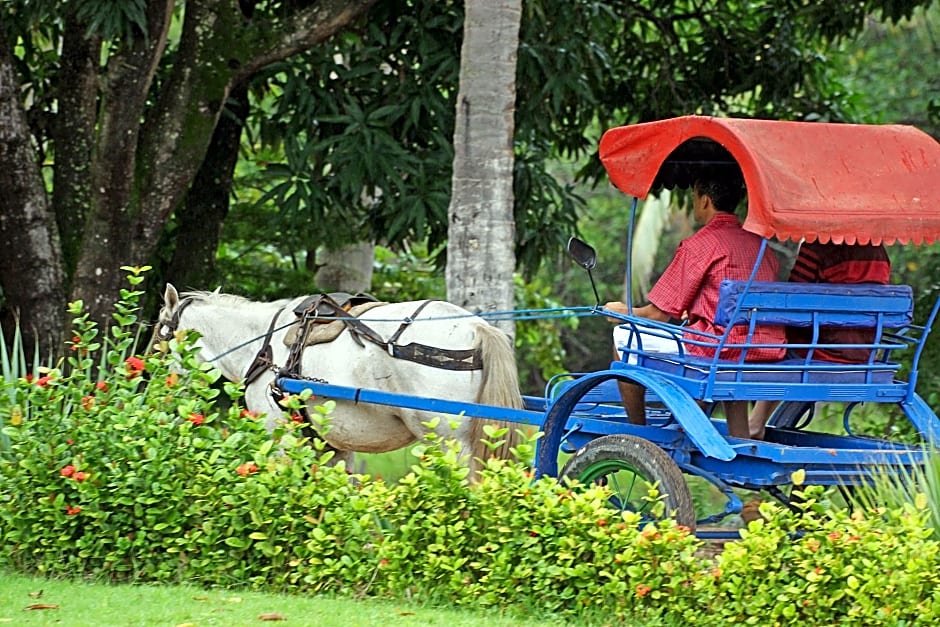 Pousada Paraíso dos Coqueirais