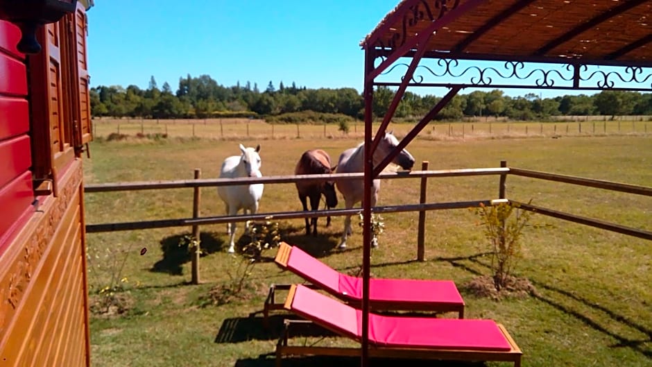 La Nanou'che (roulotte en Camargue)