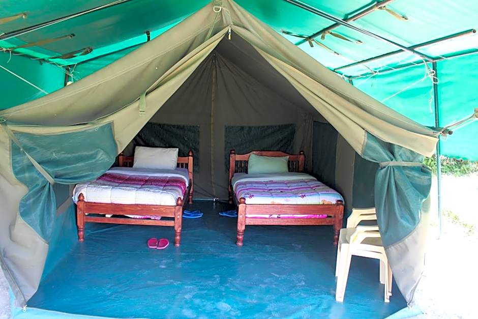 Cactus Eco Camp and Lodge