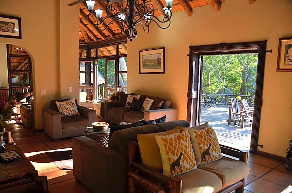 Moholoholo Forest Camp