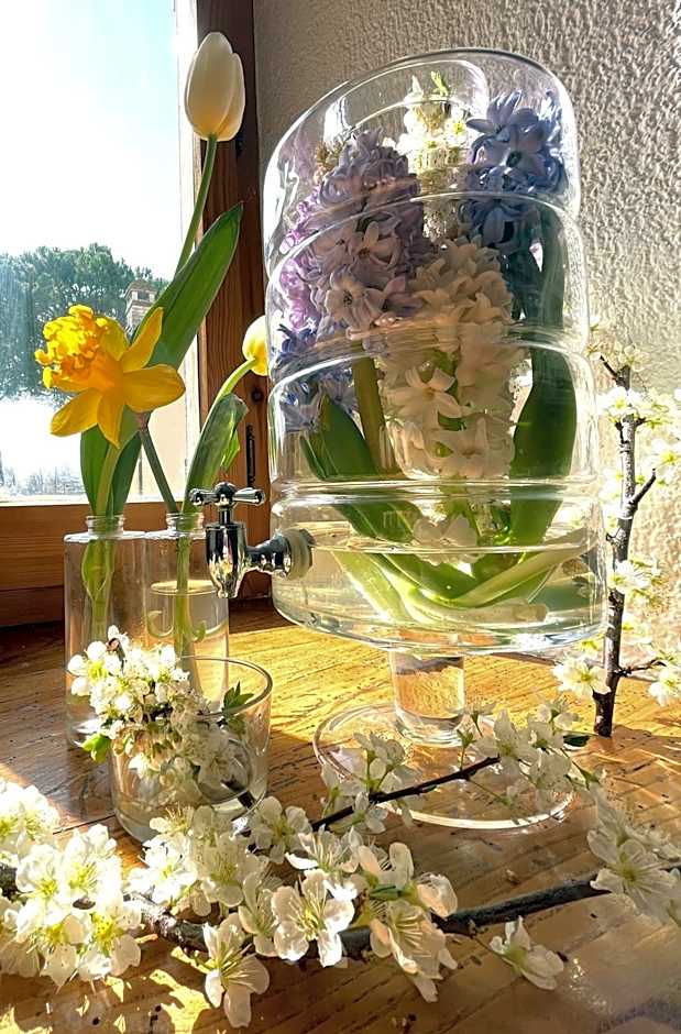 Hotel La Torretta
