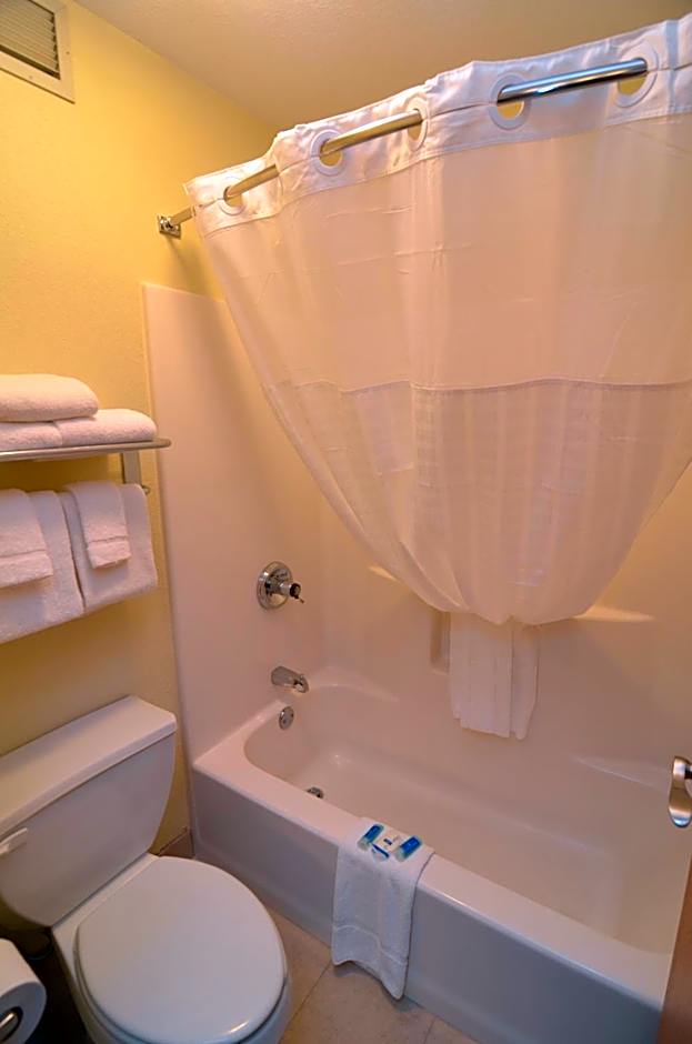 AmericInn by Wyndham Mount Pleasant