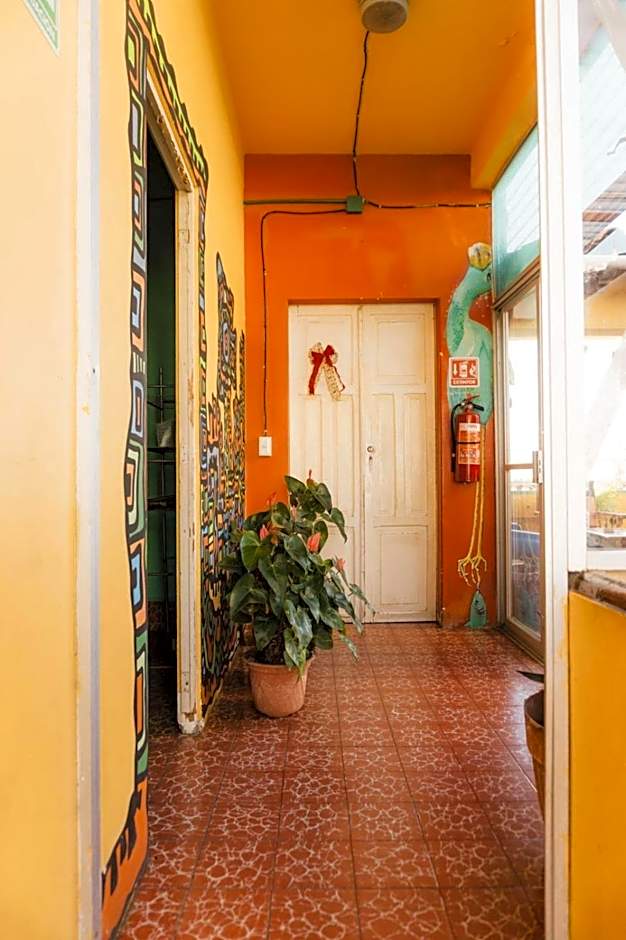 Casa Kraken Hostel