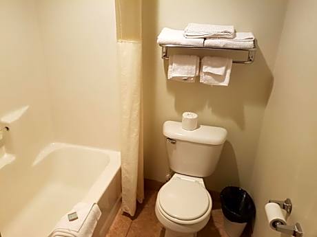Large Single Room