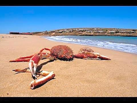 DAR Maalam Lahcen طريق الوليدية