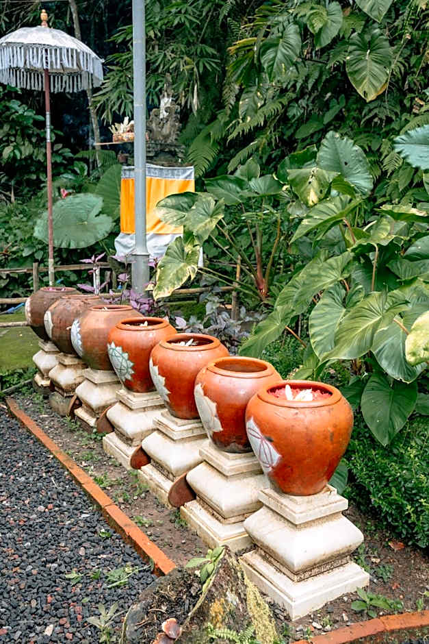 Tattva Ubud Retreat & Wellness