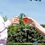 Ibis Styles Chinon