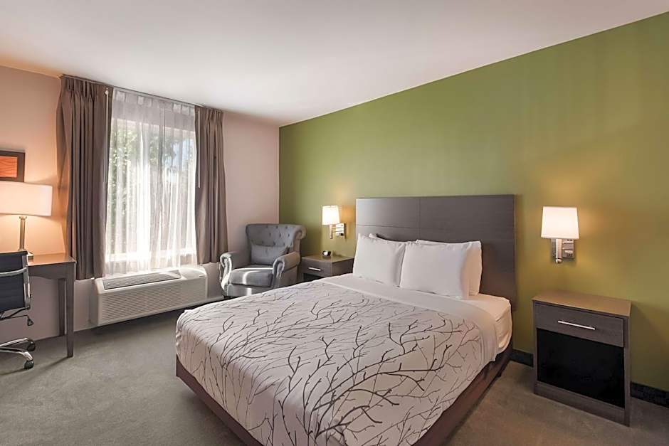 SureStay Plus Hotel by Best Western SeaTac Airport