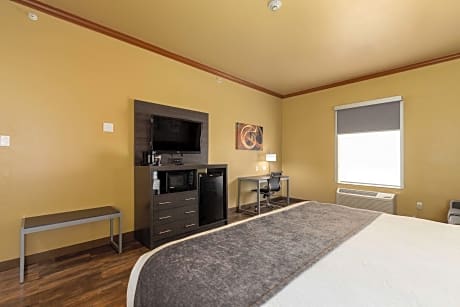 Suite-1 King Bed, Non-Smoking, High Speed Internet Access, Sofabed Non Refundable