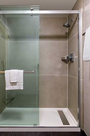 Suite, 1 Bedroom (1 King Bed and 1 Double Sofa Bed)