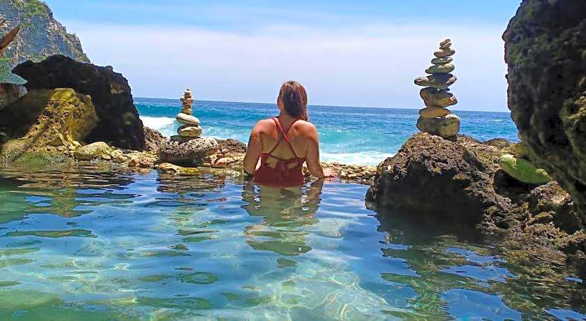 D transit RedPartner