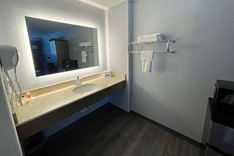 1 King Bed Non-Smoking