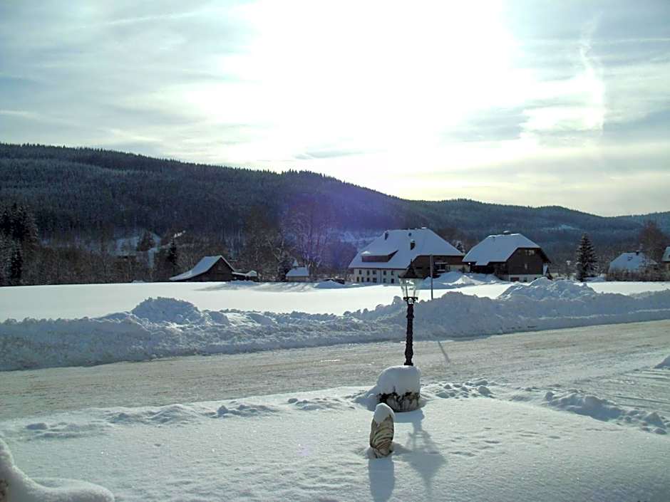 Hotel Rheingold Garni