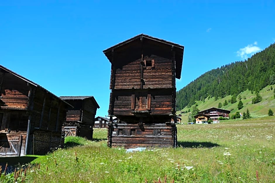 Hotel Restaurant Walliser Sonne