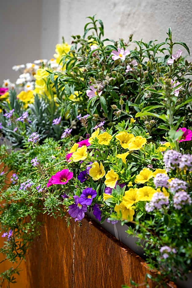 La Botte e il Vino Rooms