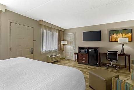 Large King Room - Non-Smoking