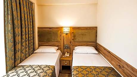 Double or Twin Room with City View